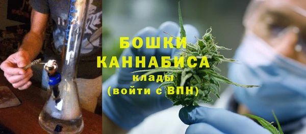 Альфа ПВП Каменка