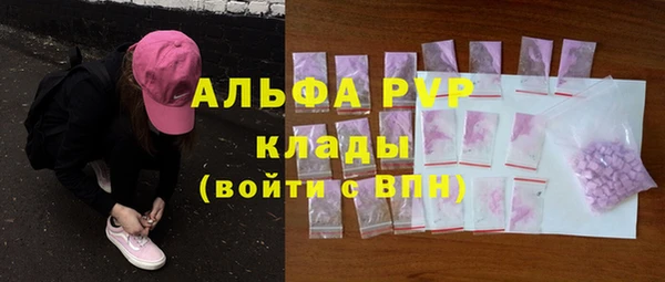 Альфа ПВП Каменка