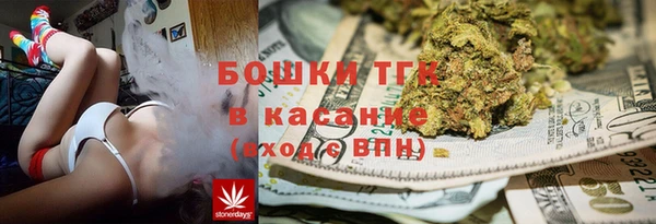 Альфа ПВП Каменка