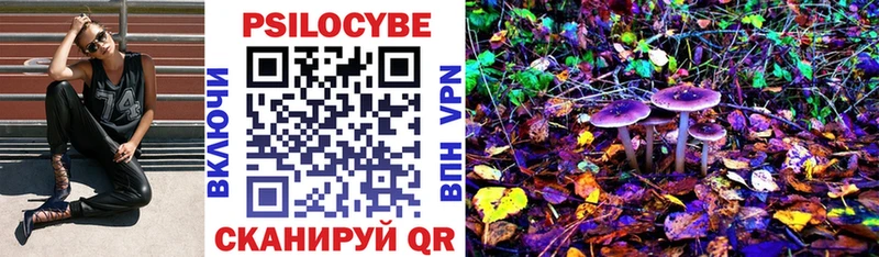 Купить где  Заречный  Псилоцибиновые грибы Magic Shrooms 
